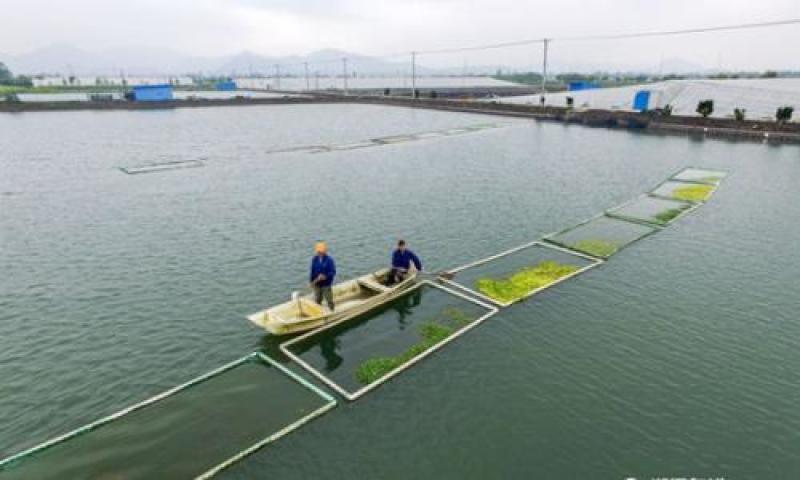 渔业水质检测
